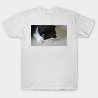 Tiny Tantrums T-Shirt